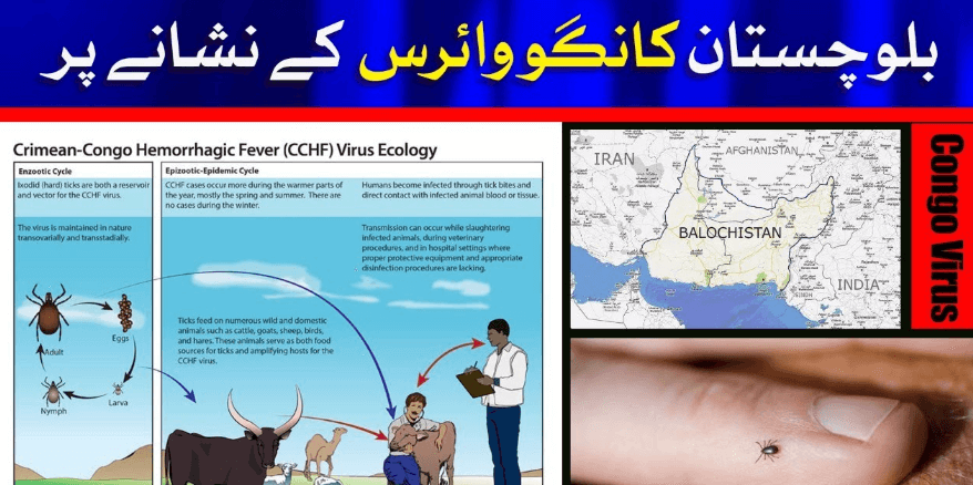 Read more about the article Balochistan Issues Congo Virus Red Alert