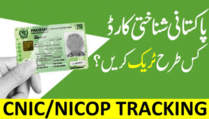Read more about the article How to Track NADRA CNIC Record Online