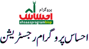 Read more about the article How to Apply for Ehsaas Program Online in 2024