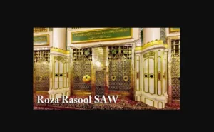 Read more about the article Saudi Arabia Limits Visits to Roza-e-Rasool (PBUH)