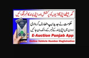 Read more about the article Punjab Kicks Off Registration for Auction of Premium Number Plates