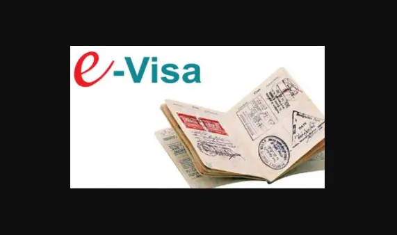 You are currently viewing Turkey e-visa Service for Pakistani Visitors