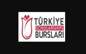 Read more about the article Türkiye Offers Undergraduate Scholarships 2024