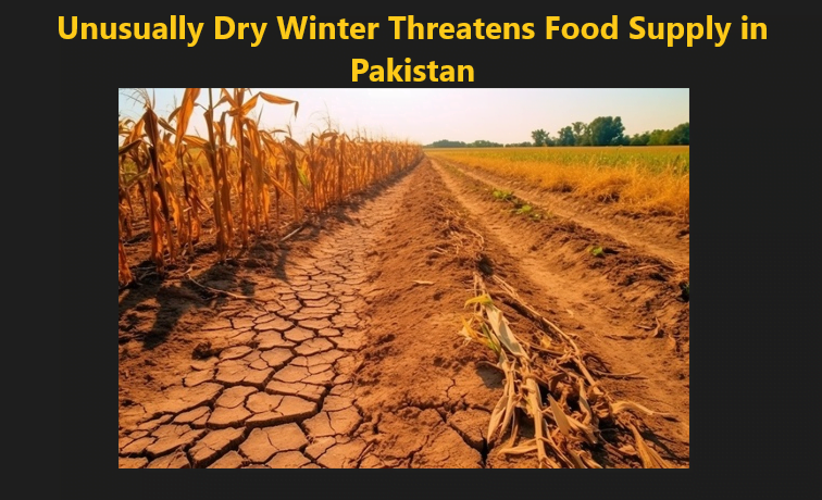 You are currently viewing Unusually Dry Winter Threatens Food Supply in Pakistan