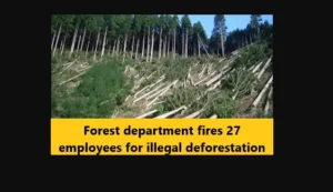 Read more about the article Forest department fires 27 employees for illegal deforestation