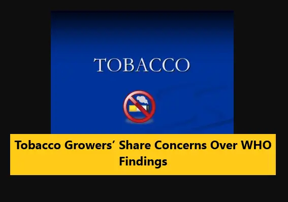 Read more about the article Tobacco Growers’ Share Concerns Over WHO Findings
