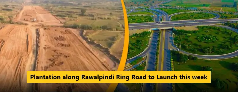 You are currently viewing Plantation along Rawalpindi Ring Road to Launch this week