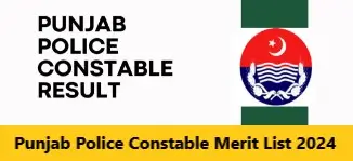 Read more about the article Punjab Police Constable Merit List 2024