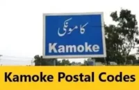 Read more about the article Kamoke Postal Codes: Detailed Guide