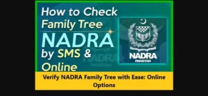 Read more about the article Verify NADRA Family Tree with Ease: Online Options