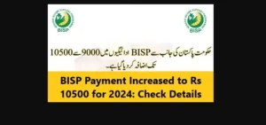 Read more about the article BISP Payment Increased to Rs 10500 for 2024: Check Details