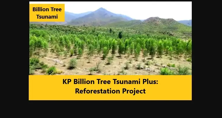 KP Billion Tree Tsunami Plus: Reforestation Project