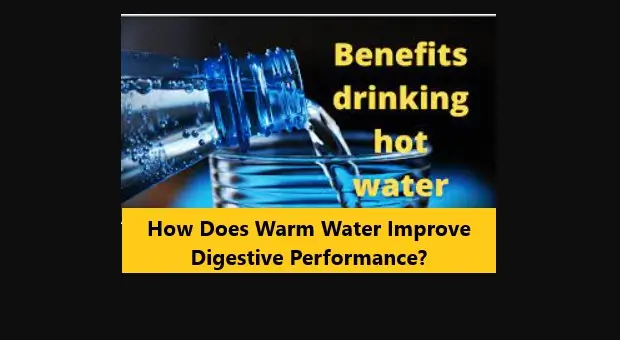 Read more about the article How Does Warm Water Improve Digestive Performance?