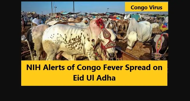 You are currently viewing NIH Alerts of Congo Fever Spread on Eidul Azha