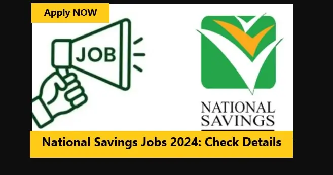 You are currently viewing National Savings Jobs 2024: Check Details