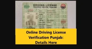 Read more about the article Online Driving License Verification Punjab: Details Here