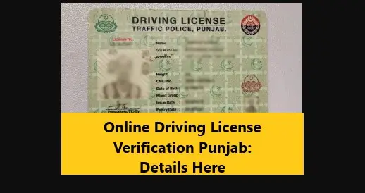 You are currently viewing Online Driving License Verification Punjab: Details Here
