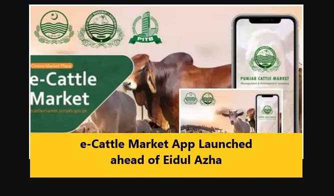 e-Cattle Market App Launched ahead of Eidul Azha