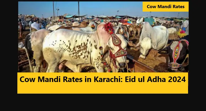 Eid ul Adha 2024: Cow Mandi Rates in Karachi Drop Significantly