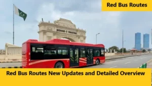 Red Bus Routes New Updates and Detailed Overview