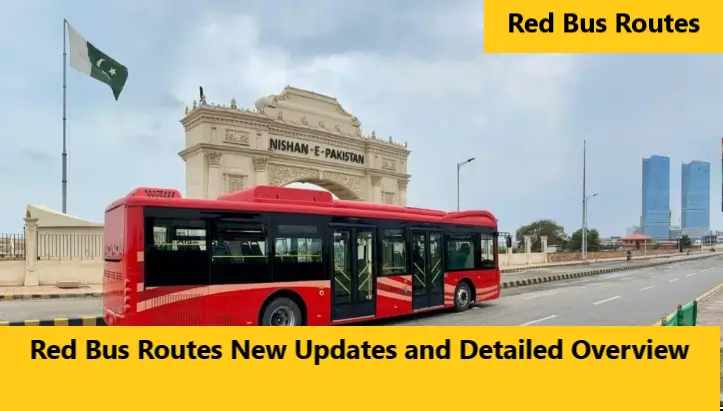 You are currently viewing Red Bus Routes New Updates and Detailed Overview