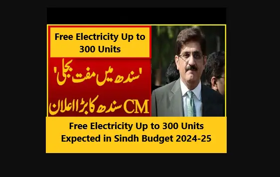 Free Electricity Up to 300 Units Expected in Sindh Budget 2024-25