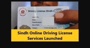 Sindh Online Driving License Services Launched