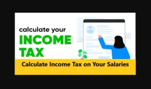 Calculate Income Tax on Your Salaries from July 1 2024