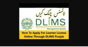 How To Apply For Learner License Online Through DLIMS Punjab