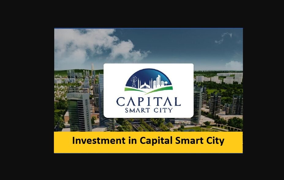 Read more about the article Investment in Capital Smart City