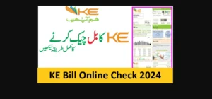 KE Bill Online Check 2024 Latest- K-Electric Duplicate Bill Update