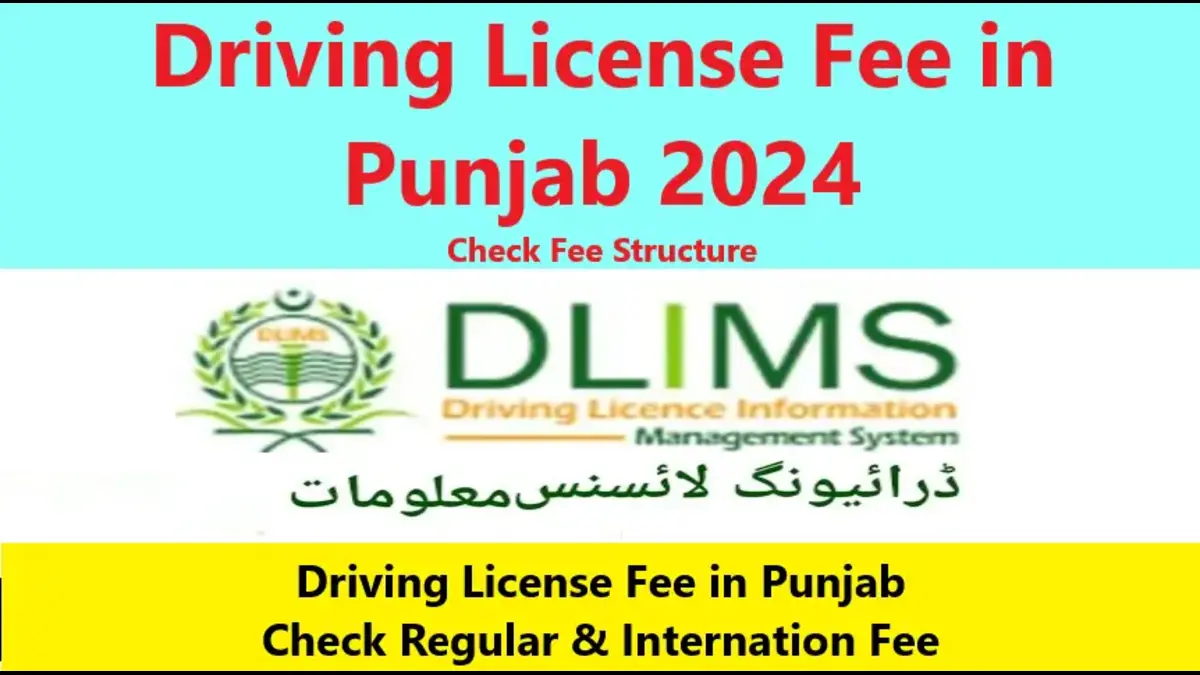 Read more about the article Driving License Fee in Punjab 2024: Check Fee Structure