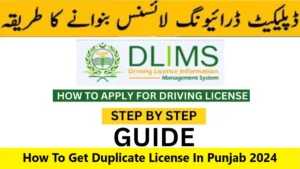 Read more about the article How To Get Duplicate License In Punjab 2024