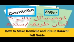 Read more about the article How to Make Domicile and PRC in Karachi: Full Guide