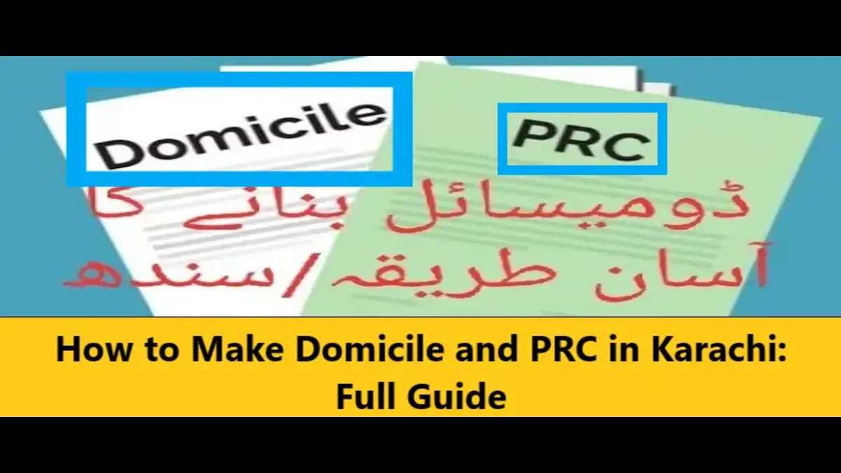 Read more about the article How to Make Domicile and PRC in Karachi: Full Guide