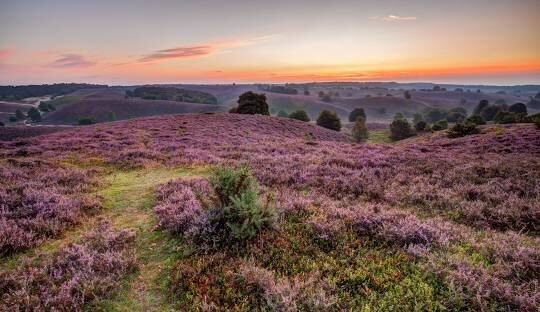 Veluwezoom National Park, Rheden
Discover Netherlands and Its Many Hidden Gems