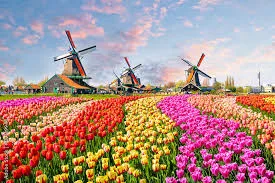 Discover Netherlands and Its Many Hidden Gems 12 image 6