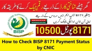 Read more about the article How to Check BISP 8171 Payment Status by CNIC