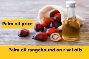 Palm oil rangebound on rival oils