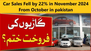 Car Sales Fell by 22% in November 2024 From October