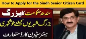 How to Apply for the Sindh Senior Citizen Card