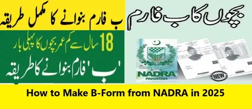 How to Make B-Form from NADRA in 2025