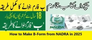 How to Make B-Form from NADRA in 2025