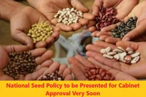 National Seed Policy to be Presented for Cabinet Approval Soon