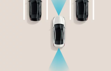 Remote Smart Parking Assist (RSPA)