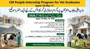 CM Punjab Internship Program for Vet Graduates-Apply Till May 15