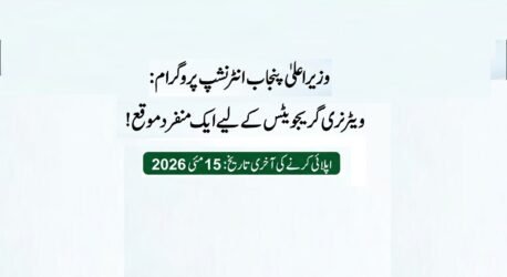 CM Punjab Revolutionary Internship Program Application Deadline Extended