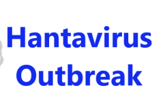 Hantavirus Outbreak as Suspected Three Dead on Atlantic Cruise Ship