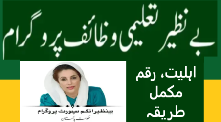 BISP Scholarship 2026 