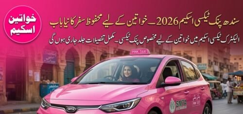 Pink EV Taxi Scheme for Women to be Launched by Sindh